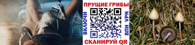купить наркотик  Называевск  Псилоцибиновые грибы мухоморы 